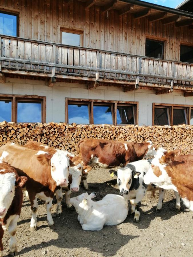 Ferienwohnungen Niederarnigerhof Familie Bauernfeind Kals-am Großglockner Exterior foto