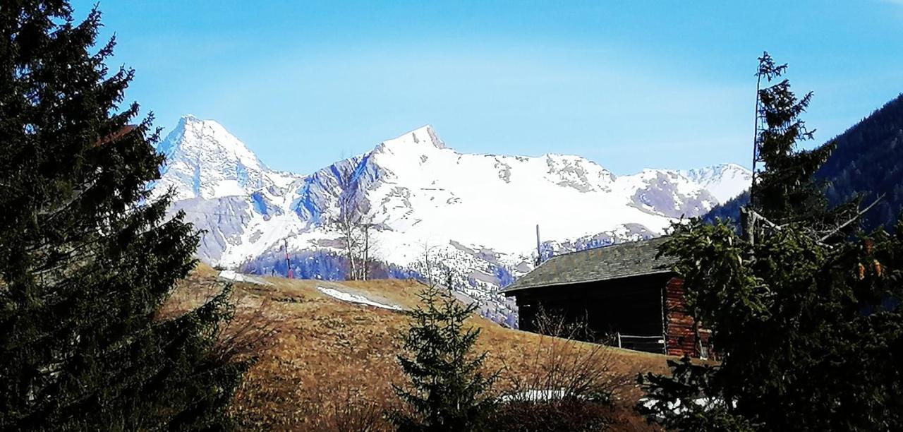 Ferienwohnungen Niederarnigerhof Familie Bauernfeind Kals-am Großglockner Exterior foto